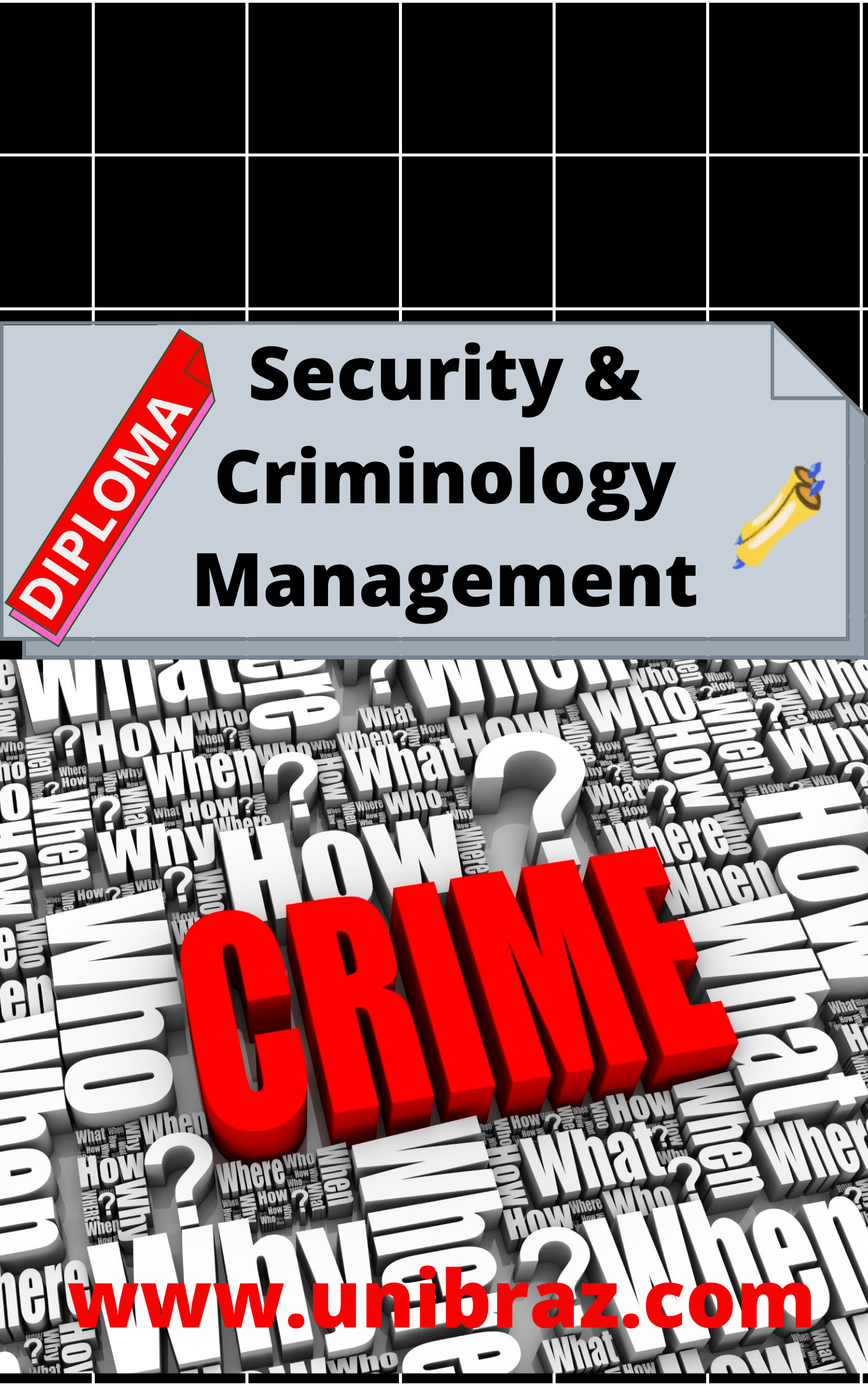 SECURITY AND CRIMINOLOGY MANAGEMENT (DIPLOMA)